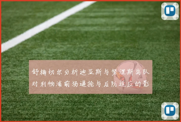 舒梅切尔分析迪亚斯与努涅斯离队对利物浦前场逼抢与后防适应的影响