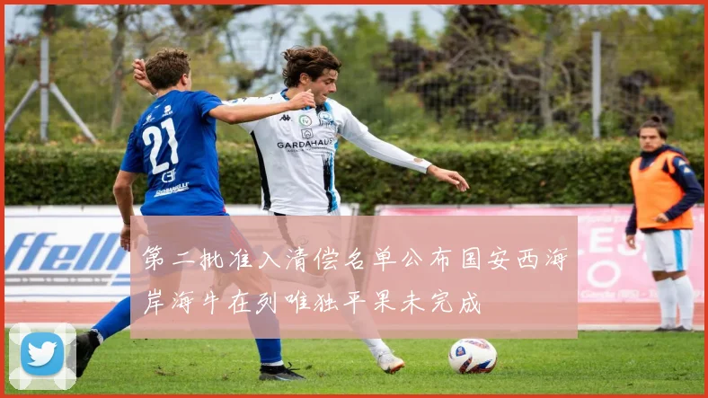 第二批准入清偿名单公布国安西海岸海牛在列唯独平果未完成