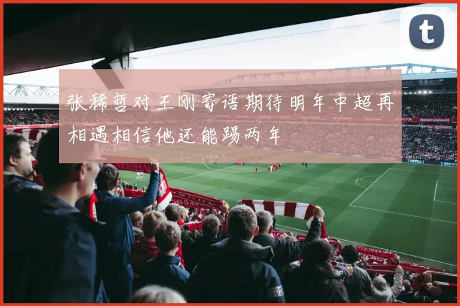 张稀哲对王刚寄语期待明年中超再相遇相信他还能踢两年