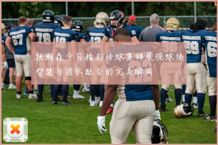 杨瀚森今日精彩传球集锦展现球场智慧与团队配合的完美瞬间