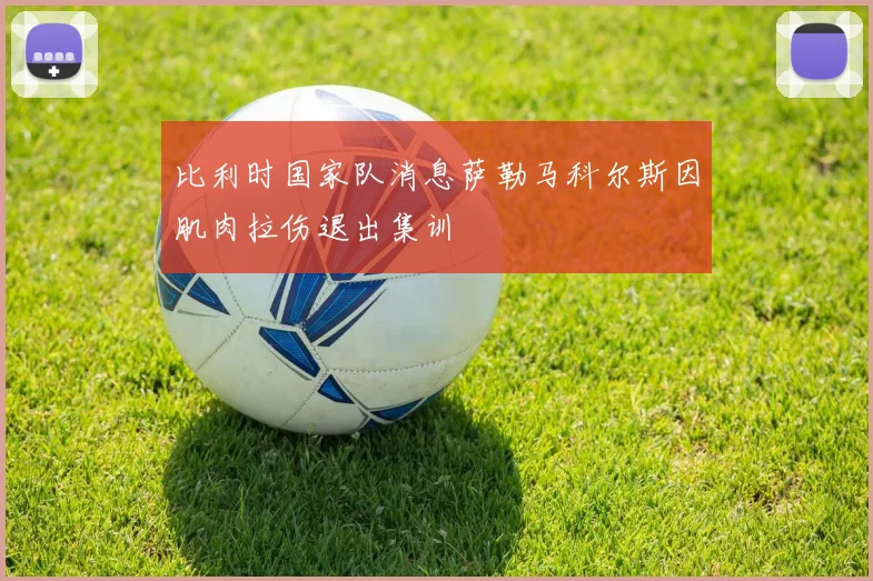 比利时国家队消息萨勒马科尔斯因肌肉拉伤退出集训